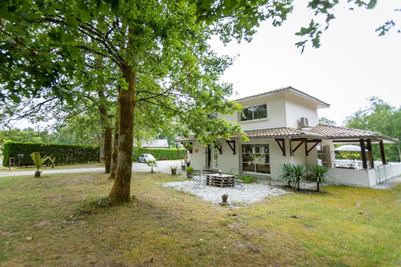 La Villa Minvia les Landes entre mer et montagne Saint-Vincent-de-Paul  Extérieur photo