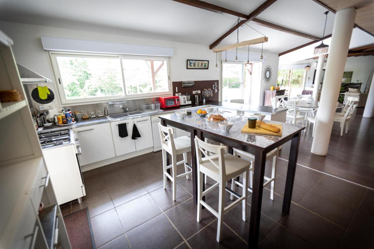 La Villa Minvia les Landes entre mer et montagne Saint-Vincent-de-Paul  Extérieur photo
