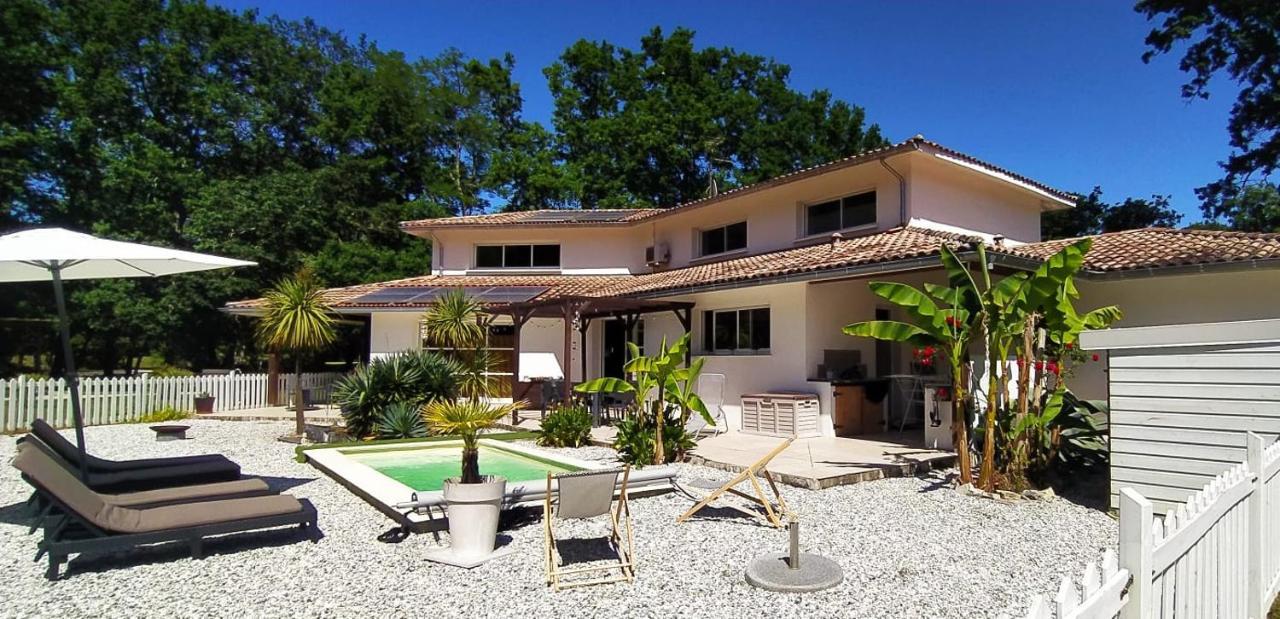 La Villa Minvia les Landes entre mer et montagne Saint-Vincent-de-Paul  Extérieur photo